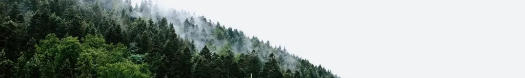 Site de rencontre pour célibataires de 50 ans et +