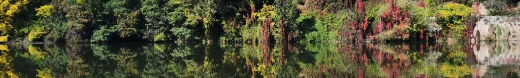 Tarn
