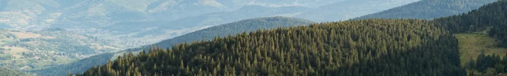 Vosges