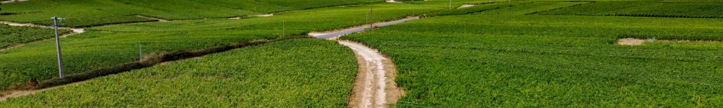 Champagne-Ardenne