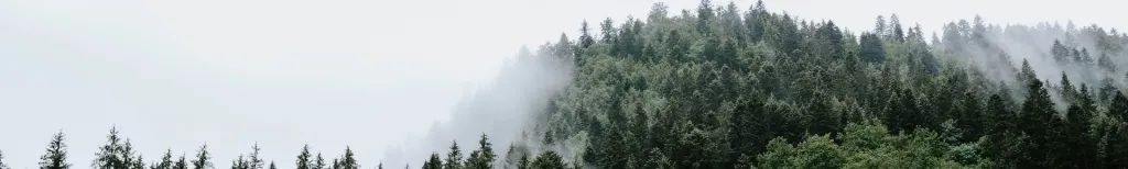 Franche-Comté