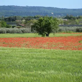 rencontre homme manosque