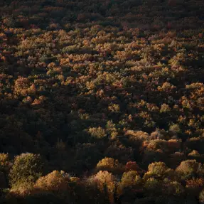 rencontres seniors rhone