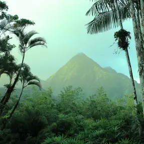 faire rencontres martinique
